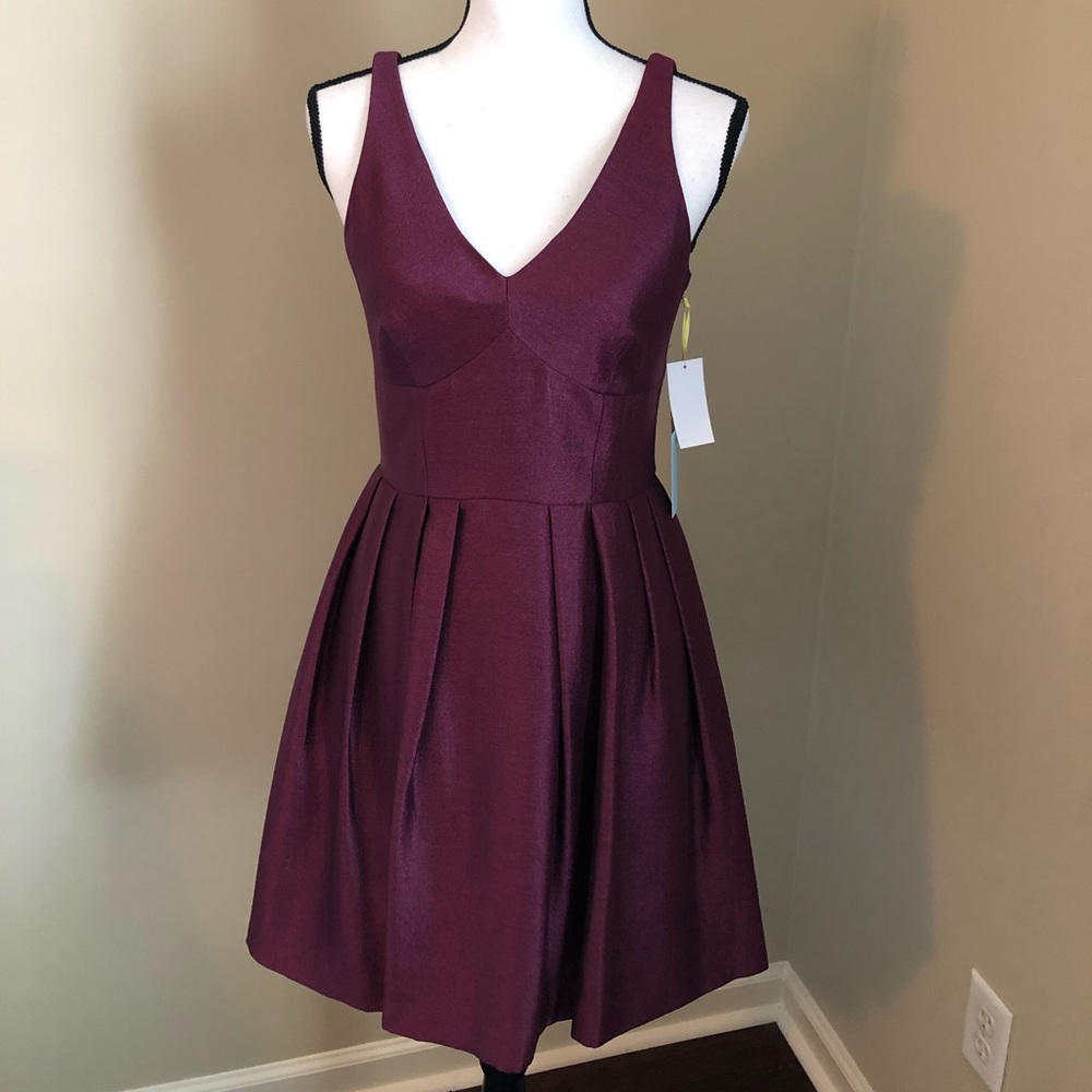 New with Tags Cece by Cynthia Steffe Dress - Sz 4
